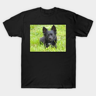 Intelligent Gaze T-Shirt